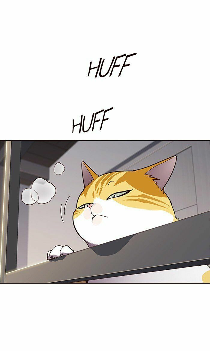 Hoá Thân Thành Mèo: Chapter 64