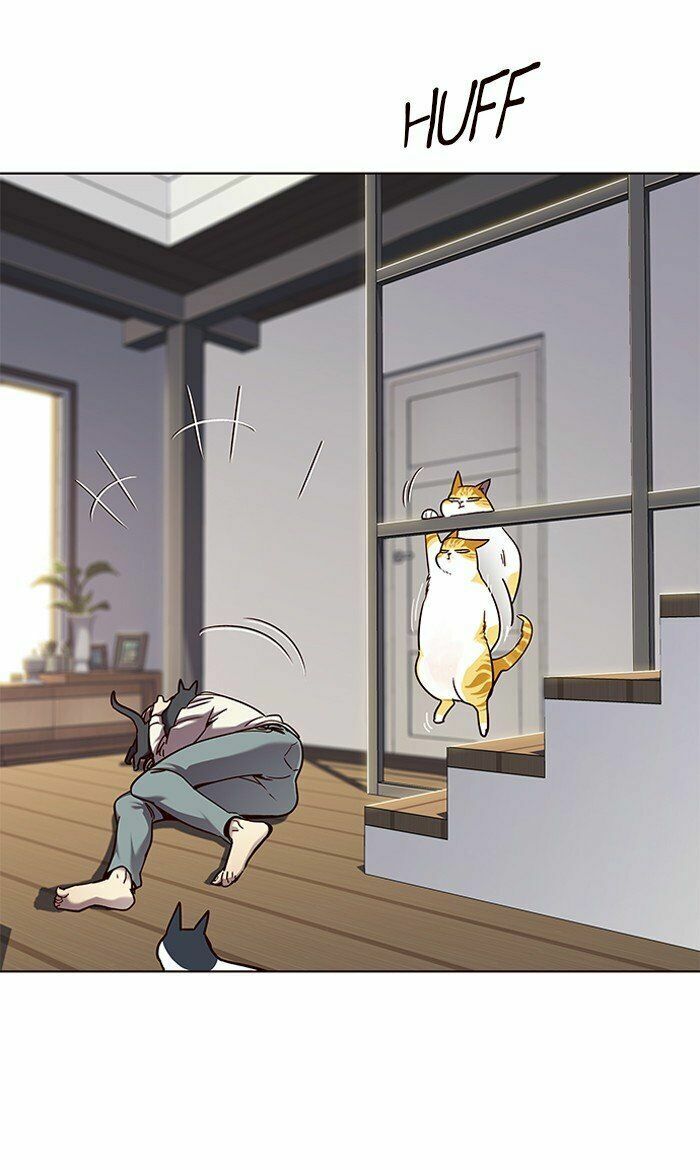 Hoá Thân Thành Mèo: Chapter 64