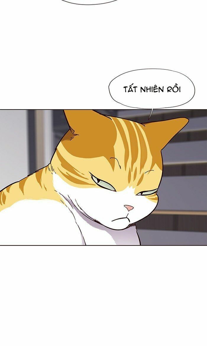 Hoá Thân Thành Mèo: Chapter 64