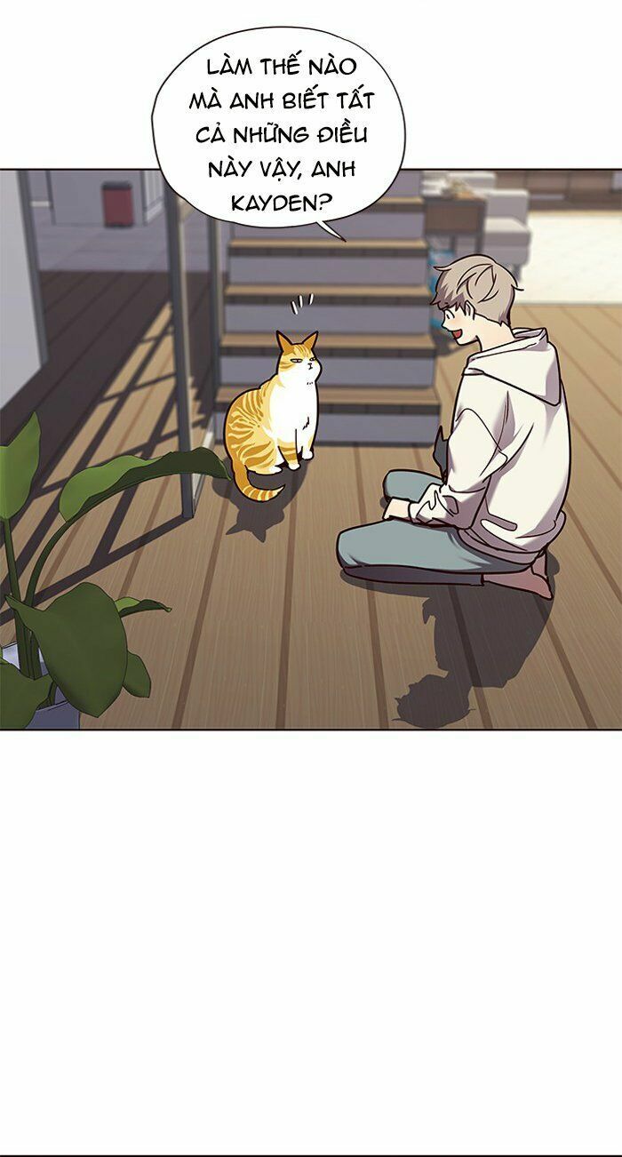 Hoá Thân Thành Mèo: Chapter 64