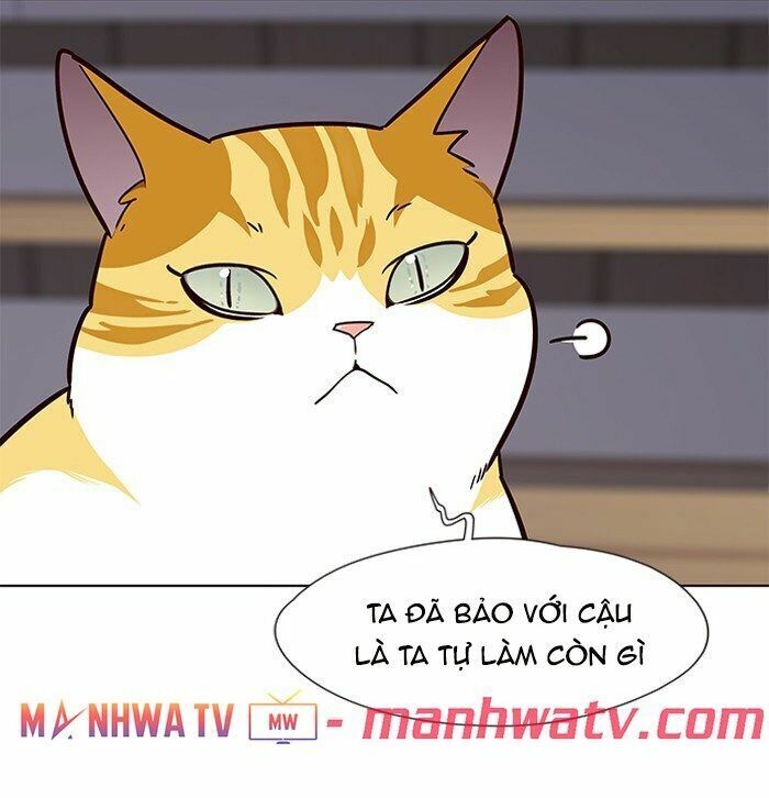 Hoá Thân Thành Mèo: Chapter 64