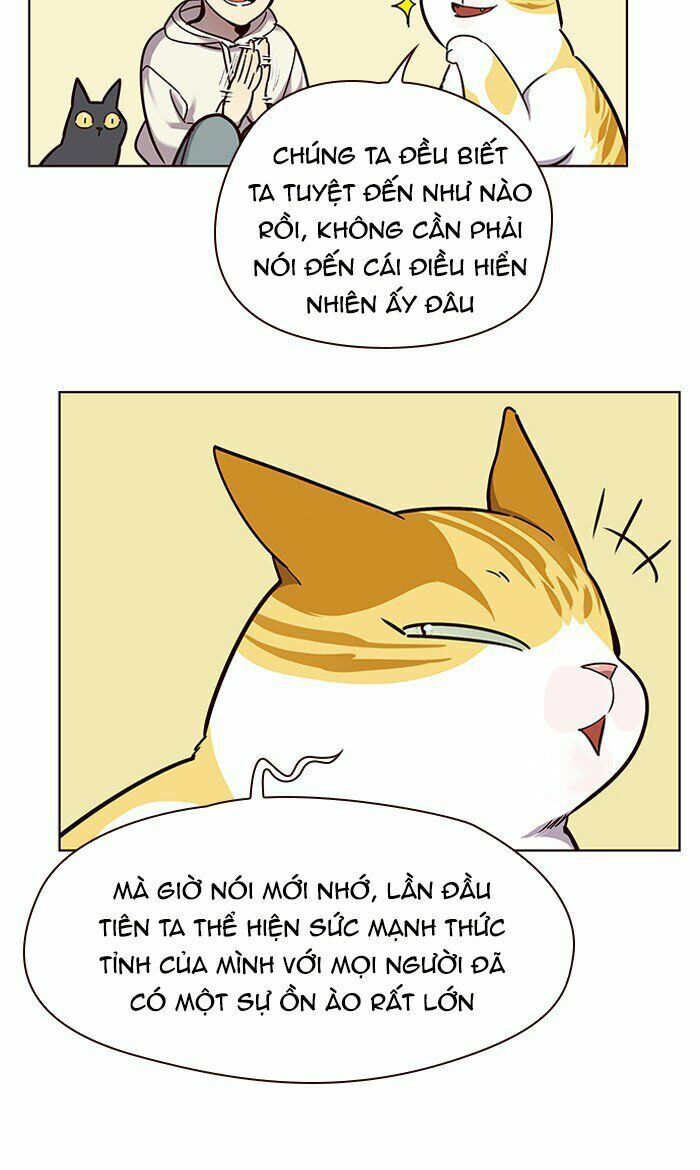Hoá Thân Thành Mèo: Chapter 64