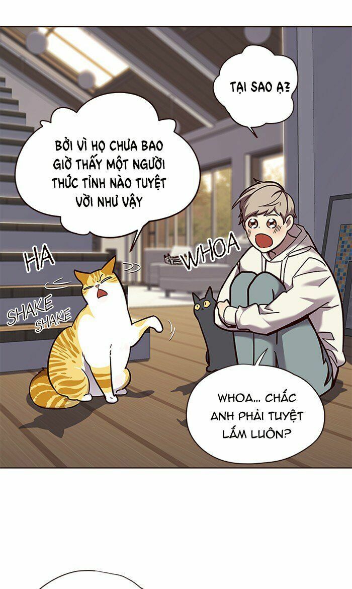 Hoá Thân Thành Mèo: Chapter 64