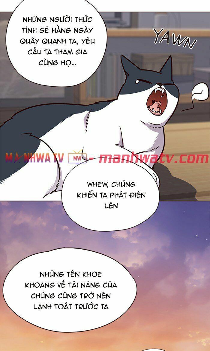 Hoá Thân Thành Mèo: Chapter 64