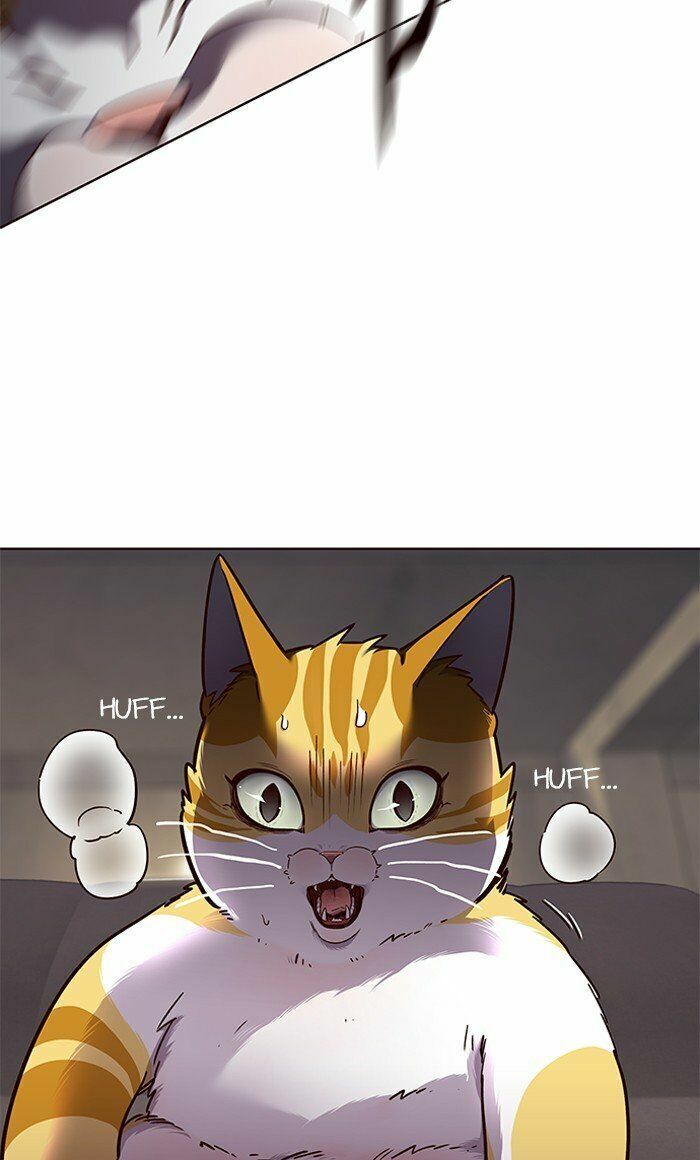 Hoá Thân Thành Mèo: Chapter 65