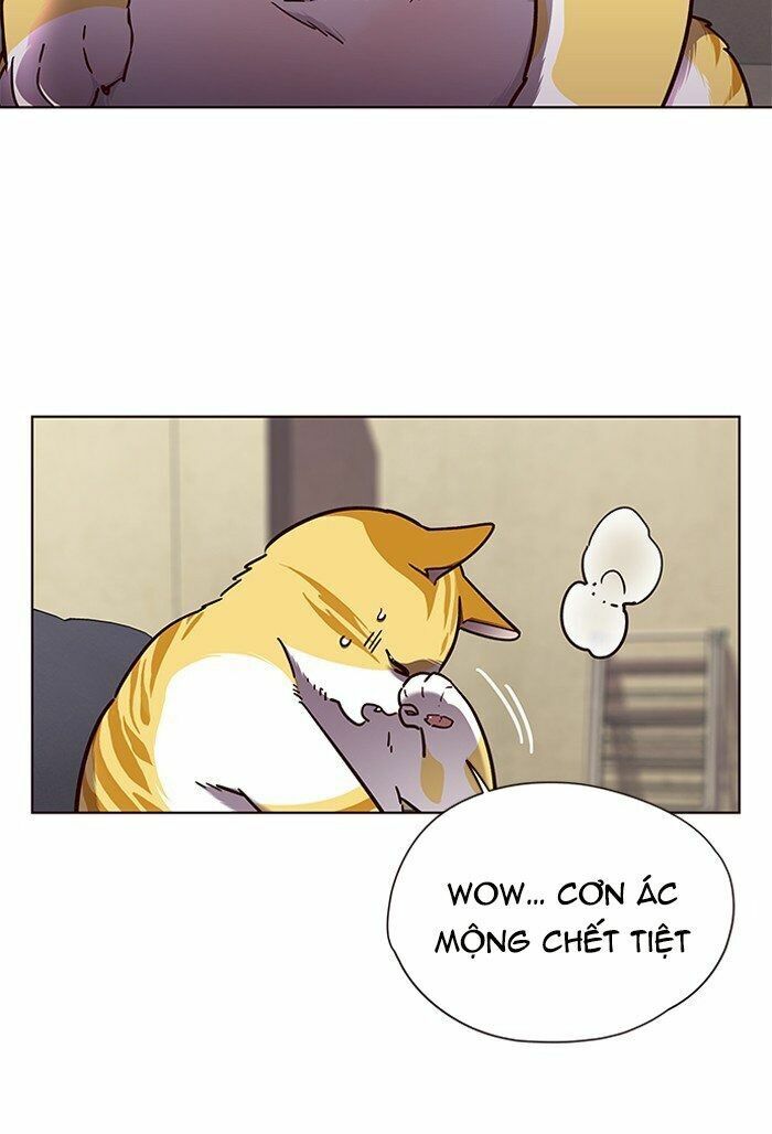 Hoá Thân Thành Mèo: Chapter 65