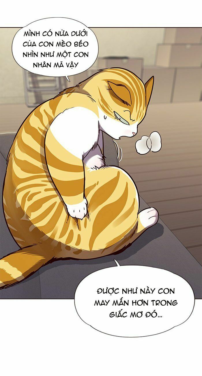 Hoá Thân Thành Mèo: Chapter 65