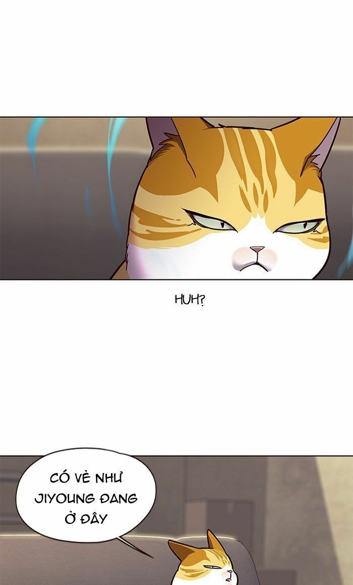 Hoá Thân Thành Mèo: Chapter 65
