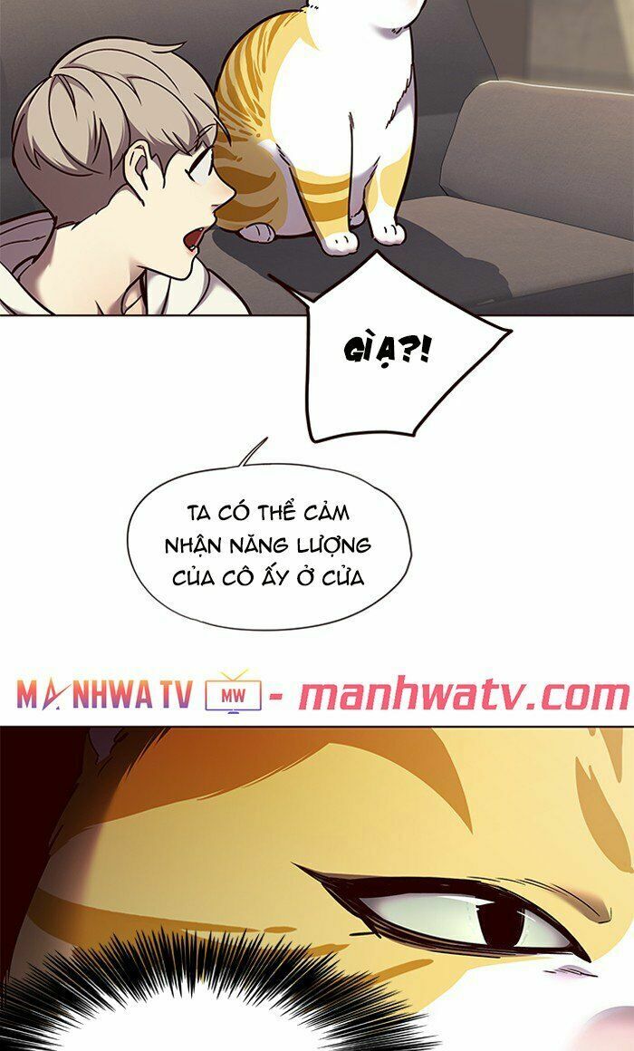 Hoá Thân Thành Mèo: Chapter 65