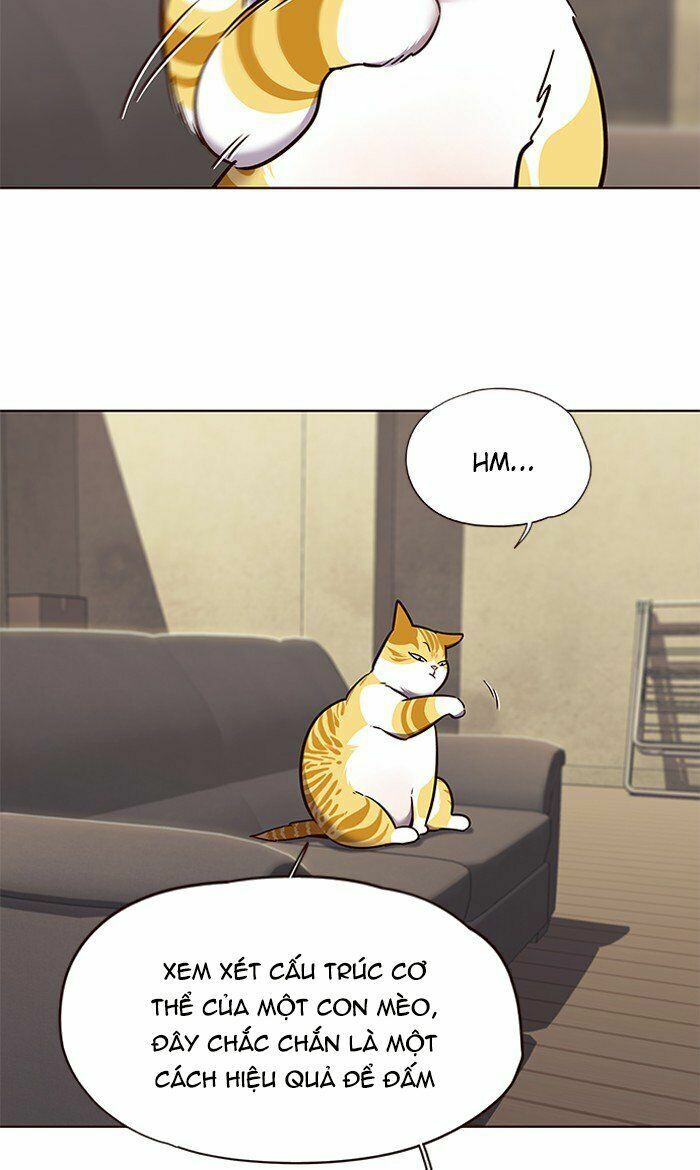 Hoá Thân Thành Mèo: Chapter 65