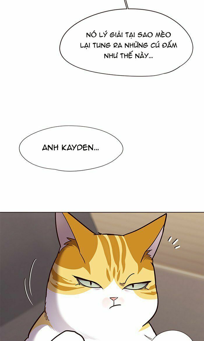 Hoá Thân Thành Mèo: Chapter 65