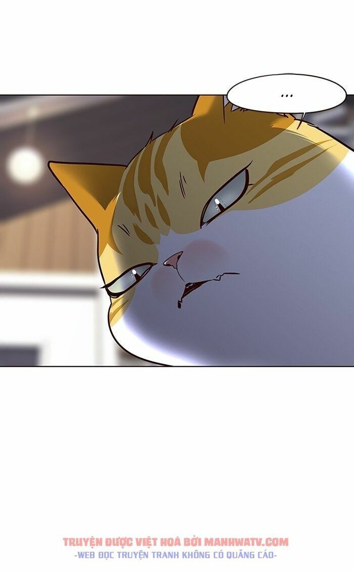 Hoá Thân Thành Mèo: Chapter 66