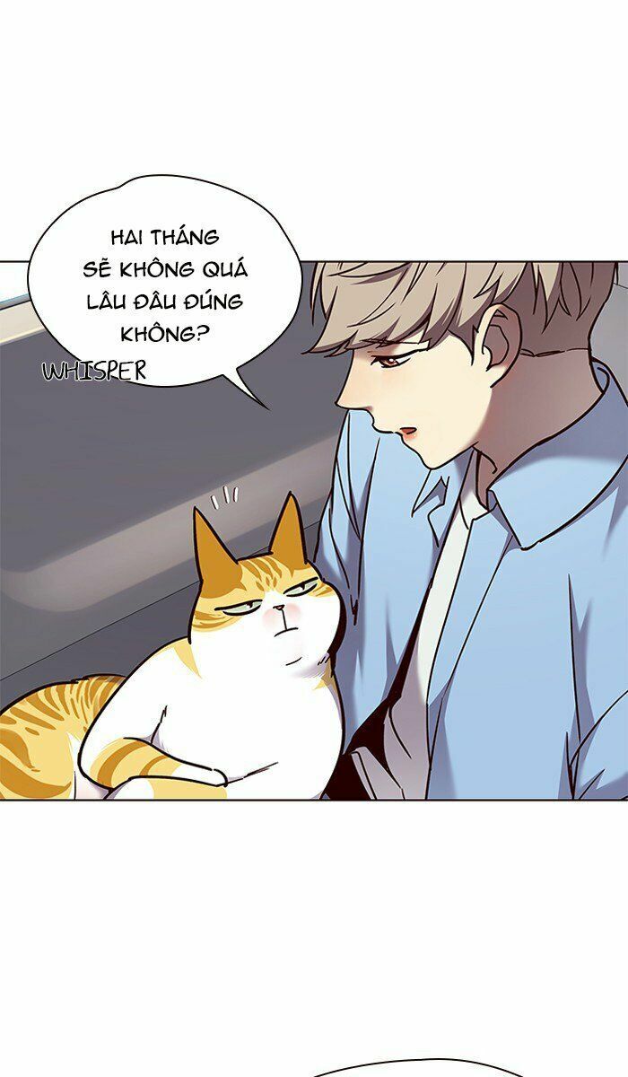 Hoá Thân Thành Mèo: Chapter 67
