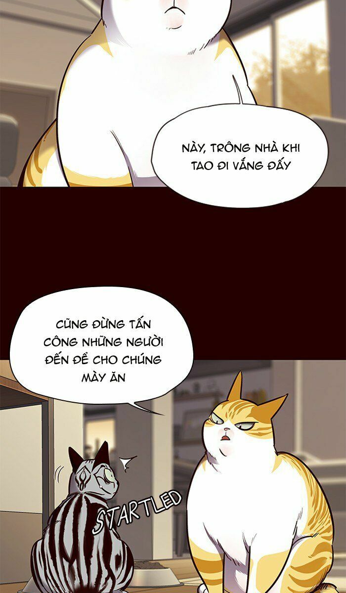 Hoá Thân Thành Mèo: Chapter 67