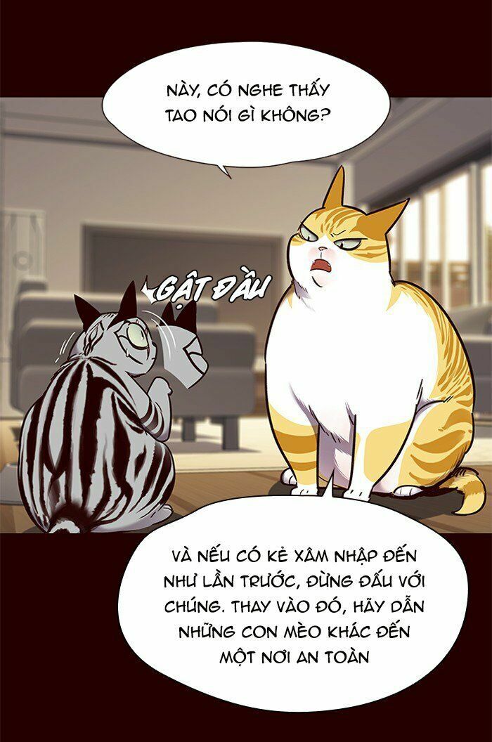 Hoá Thân Thành Mèo: Chapter 67