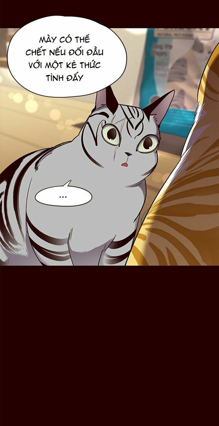 Hoá Thân Thành Mèo: Chapter 67