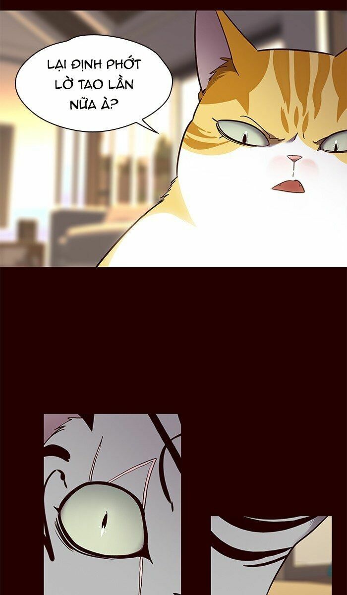 Hoá Thân Thành Mèo: Chapter 67