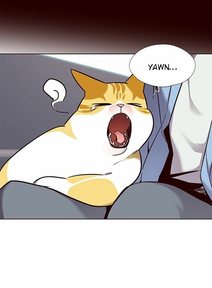 Hoá Thân Thành Mèo: Chapter 67