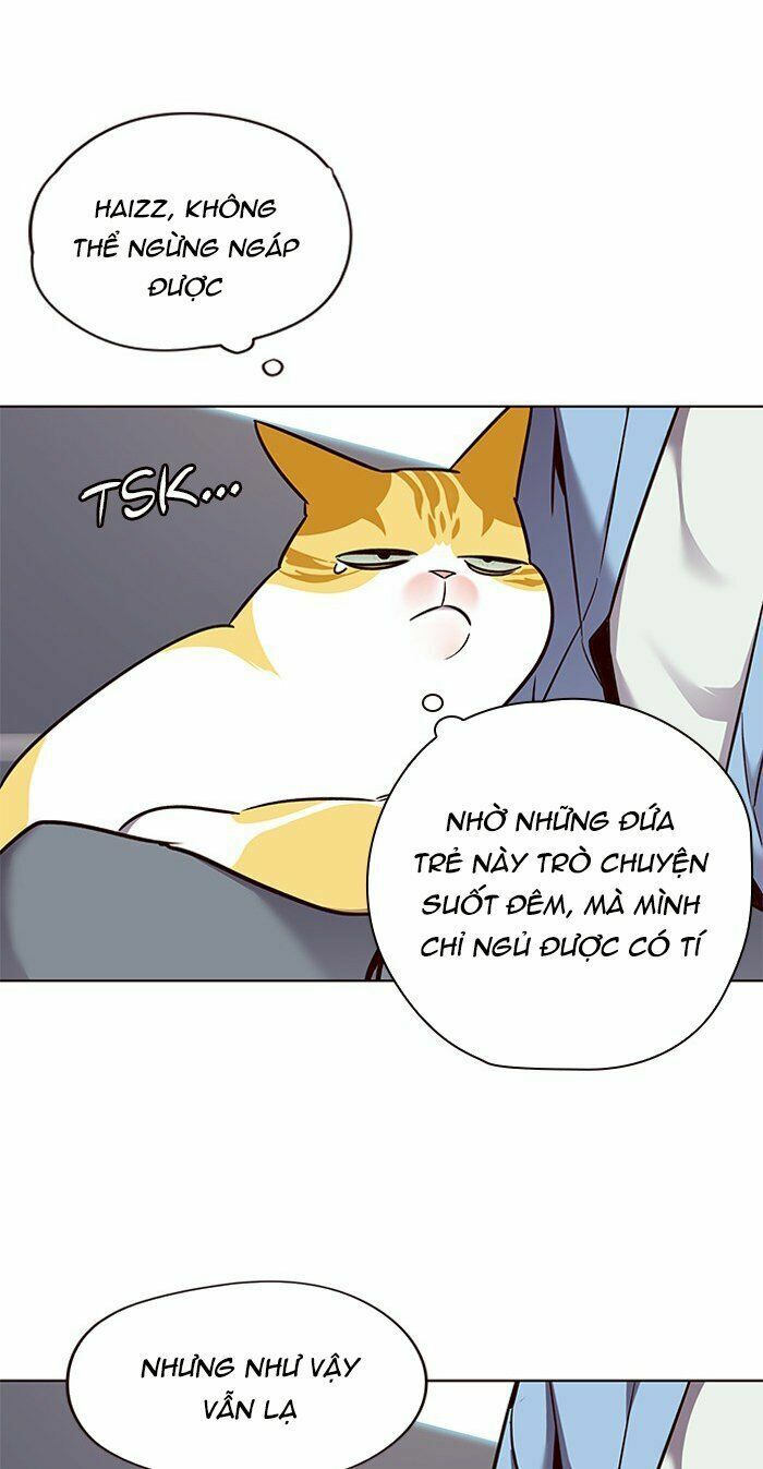 Hoá Thân Thành Mèo: Chapter 67