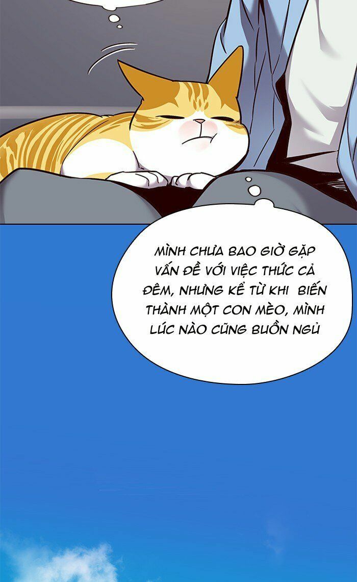 Hoá Thân Thành Mèo: Chapter 67