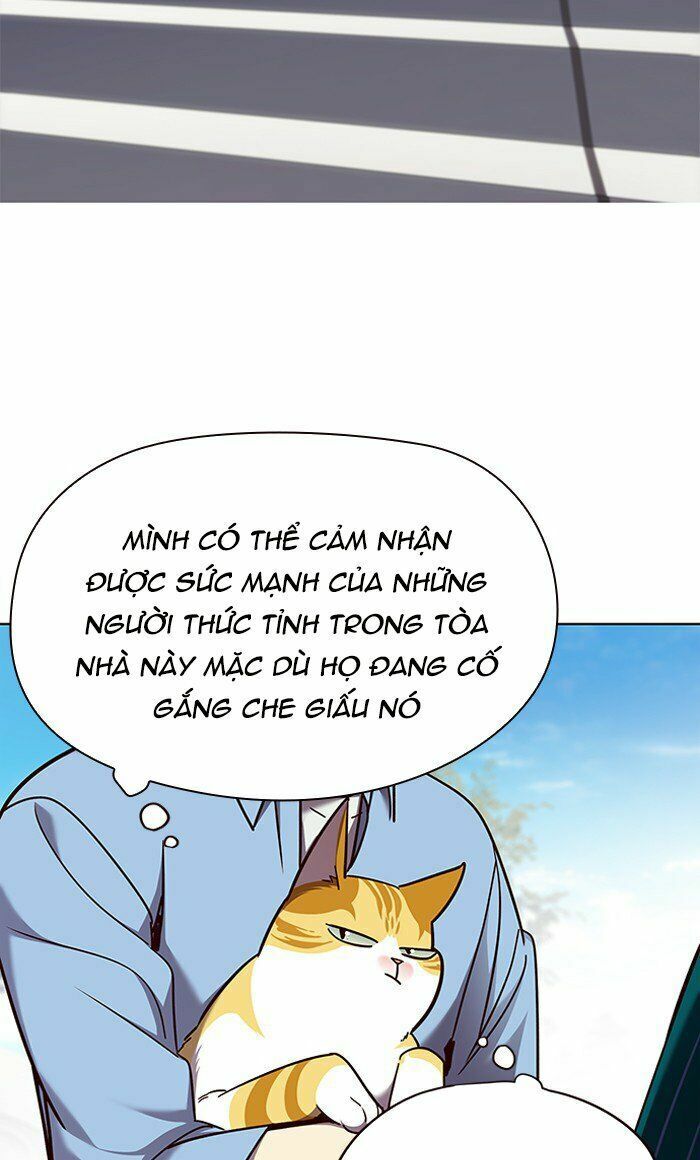 Hoá Thân Thành Mèo: Chapter 68