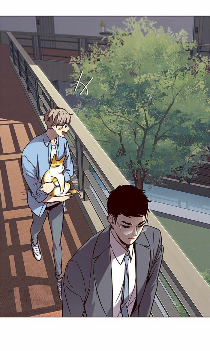 Hoá Thân Thành Mèo: Chapter 68