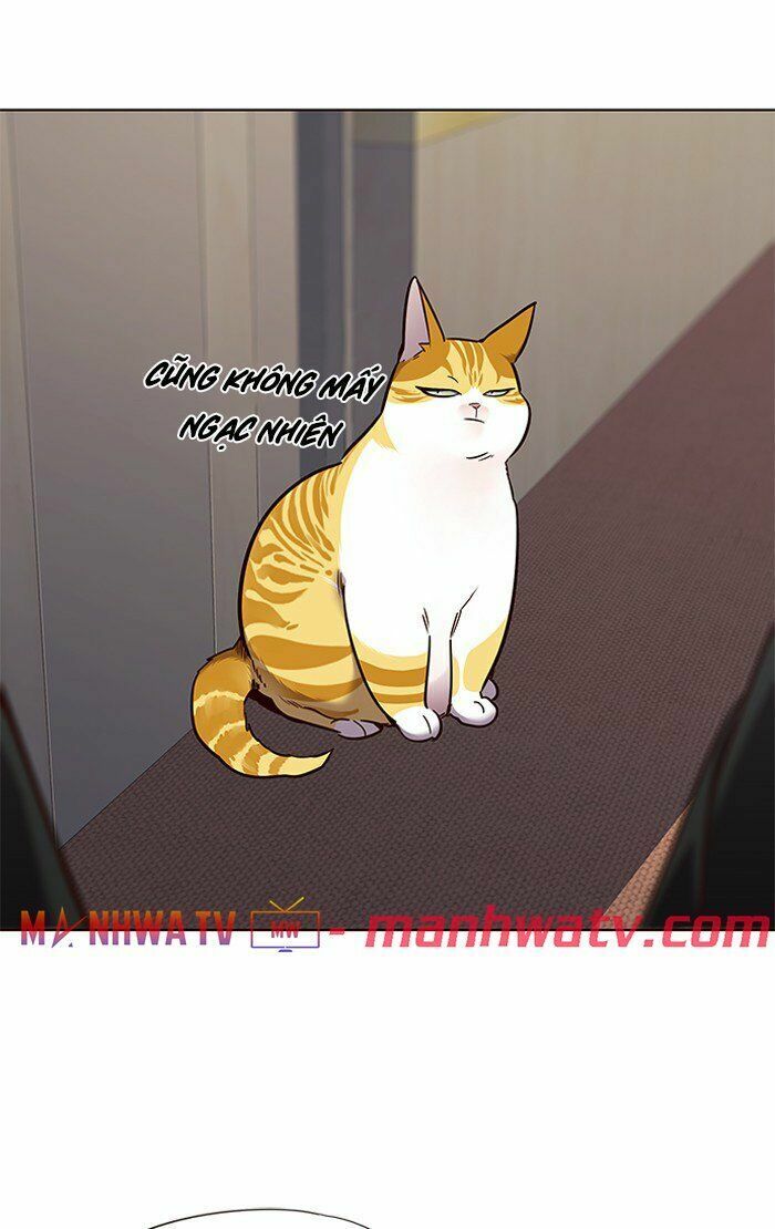 Hoá Thân Thành Mèo: Chapter 68