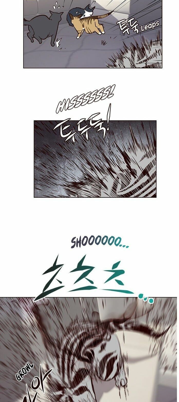 Hoá Thân Thành Mèo: Chapter 7