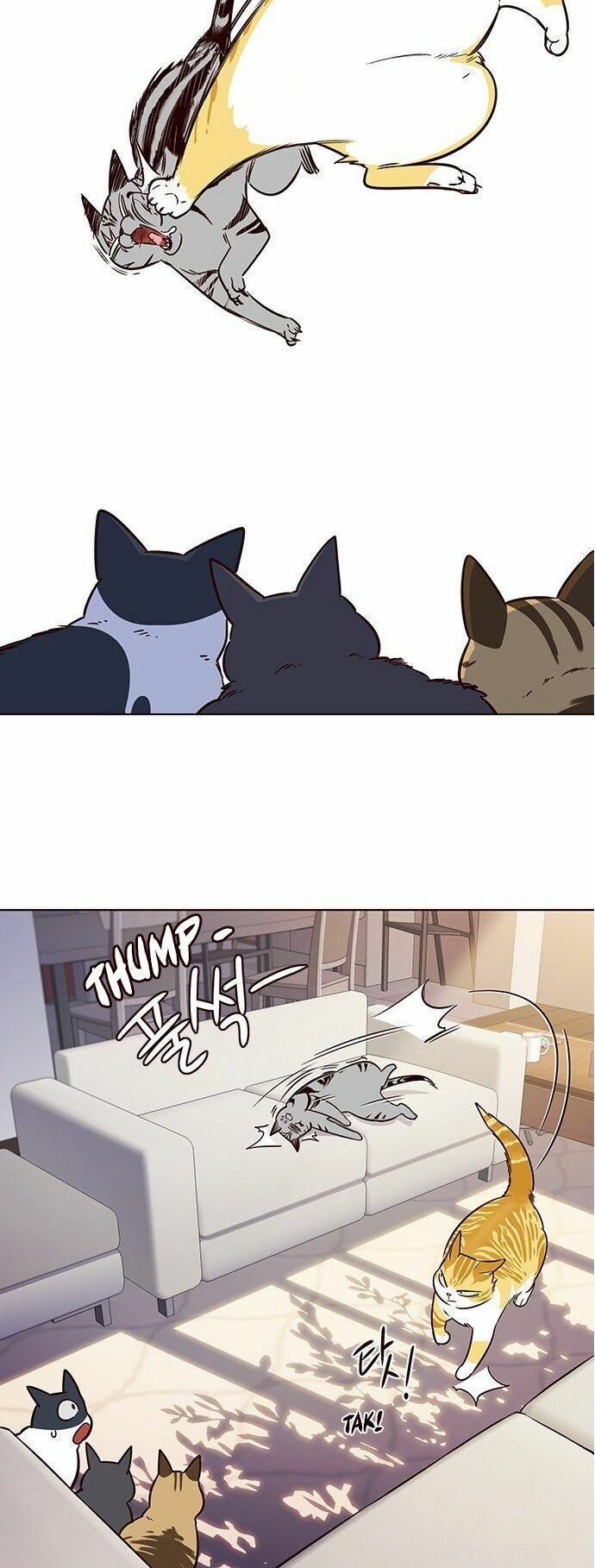Hoá Thân Thành Mèo: Chapter 7