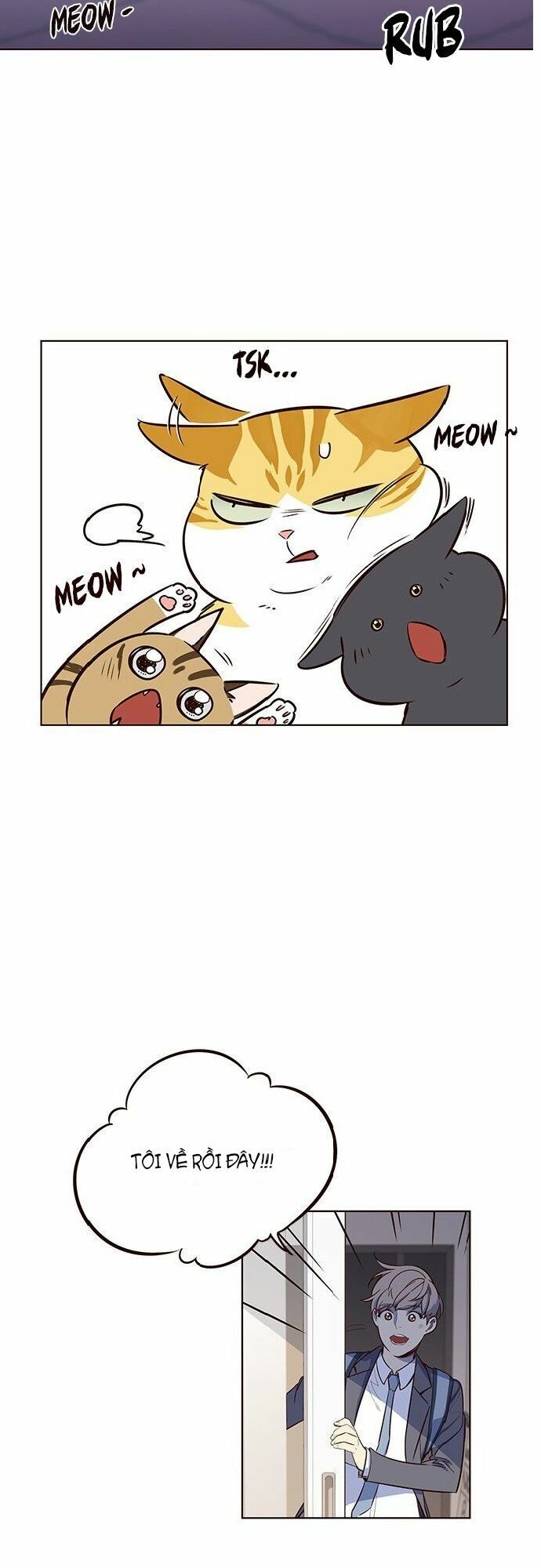 Hoá Thân Thành Mèo: Chapter 7