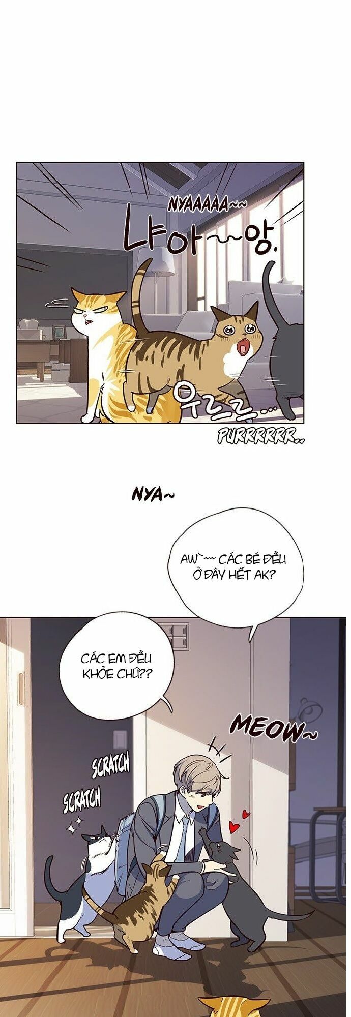 Hoá Thân Thành Mèo: Chapter 7