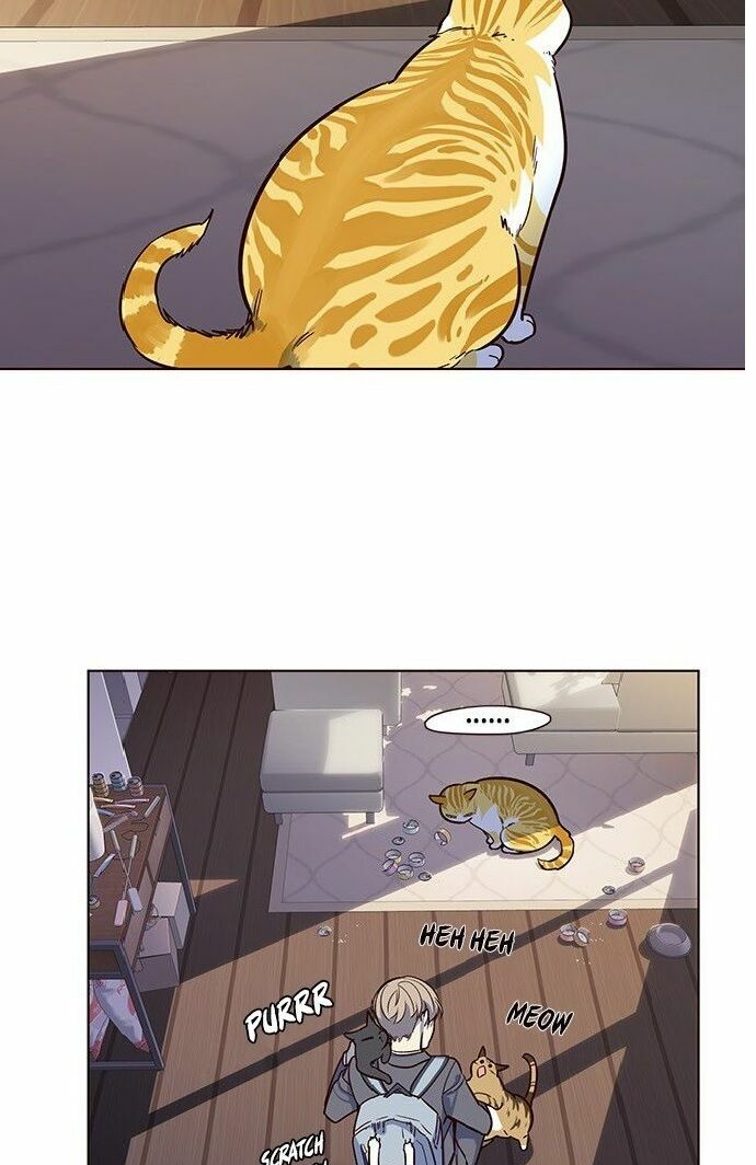Hoá Thân Thành Mèo: Chapter 7