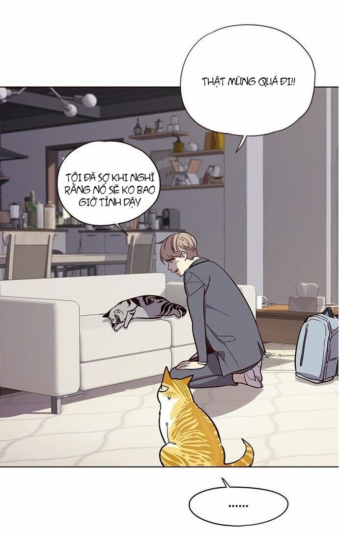 Hoá Thân Thành Mèo: Chapter 7