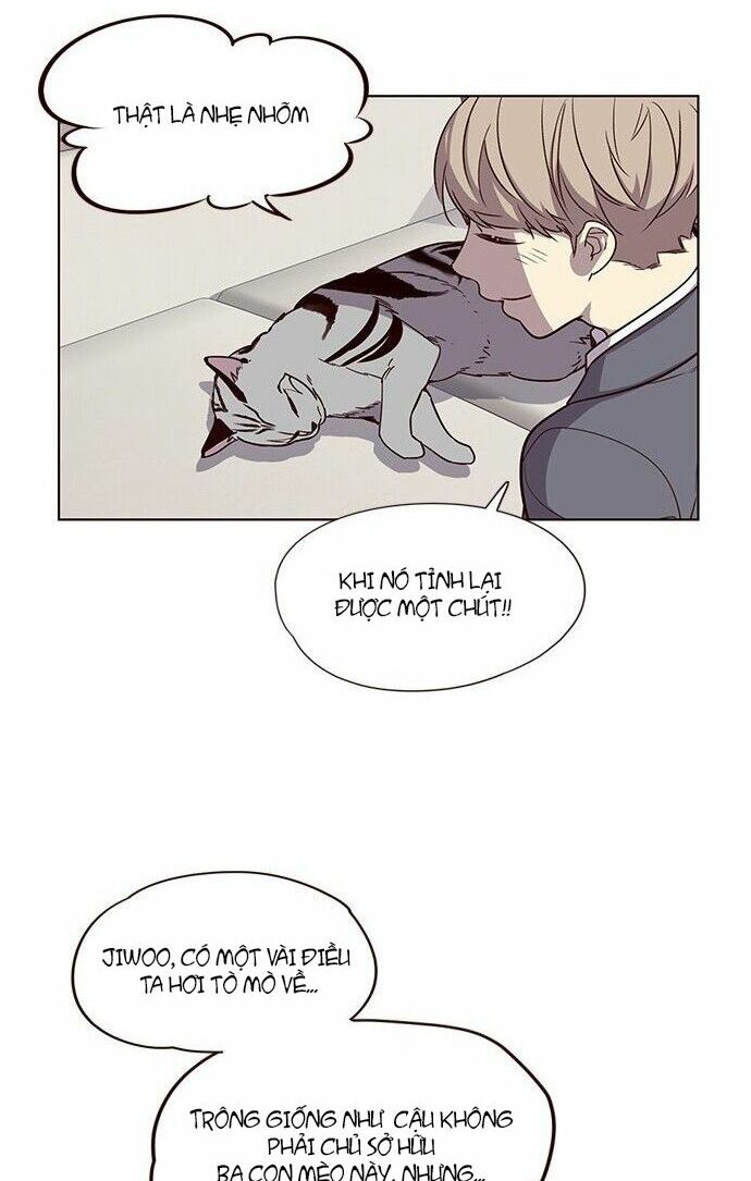 Hoá Thân Thành Mèo: Chapter 7