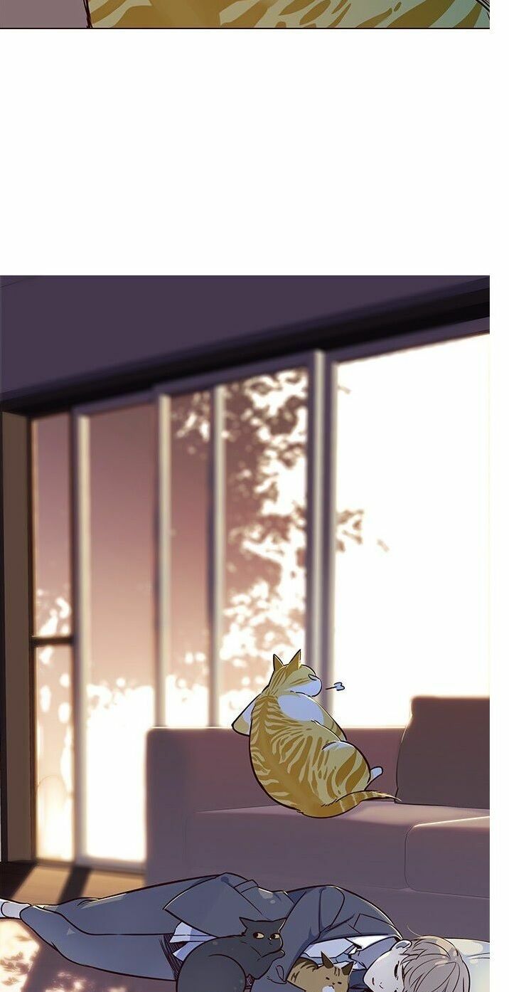 Hoá Thân Thành Mèo: Chapter 7
