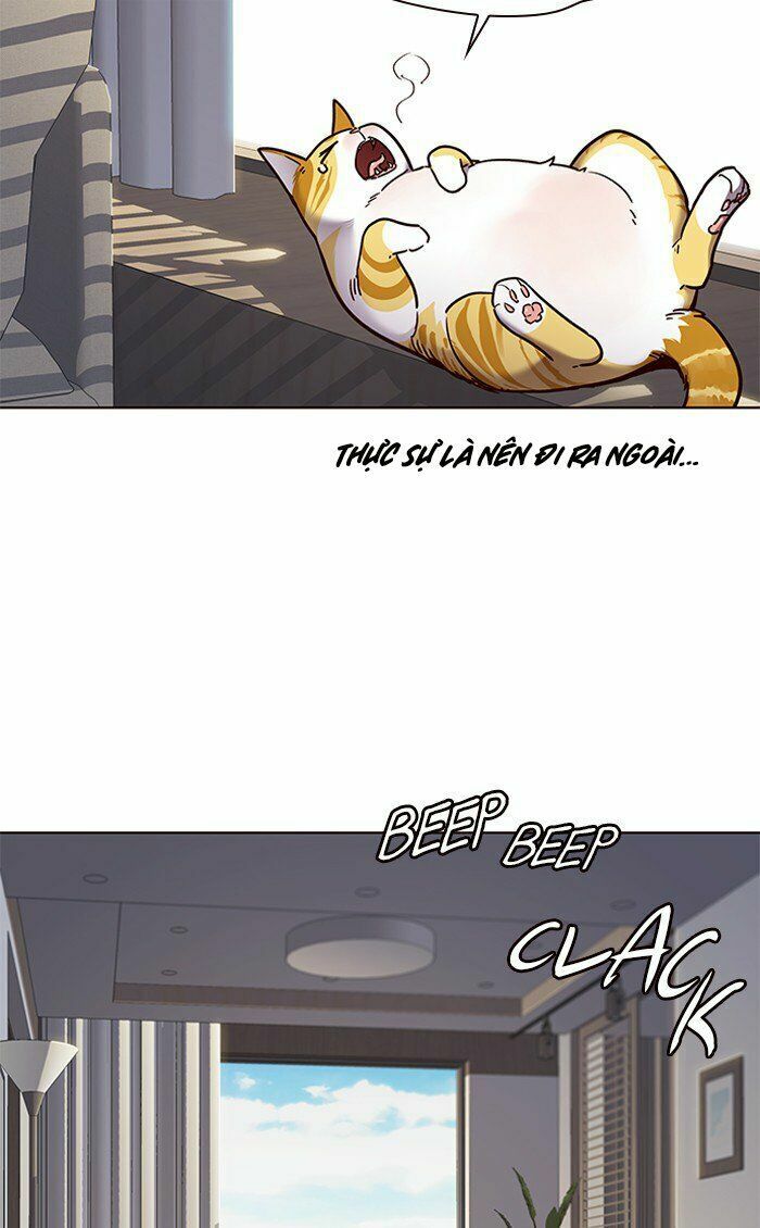 Hoá Thân Thành Mèo: Chapter 70