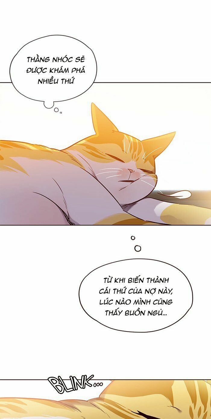 Hoá Thân Thành Mèo: Chapter 70