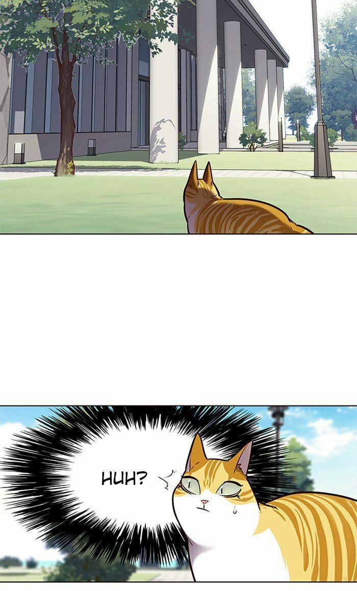 Hoá Thân Thành Mèo: Chapter 71