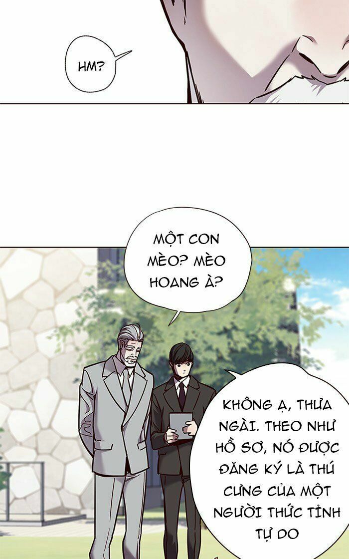 Hoá Thân Thành Mèo: Chapter 71