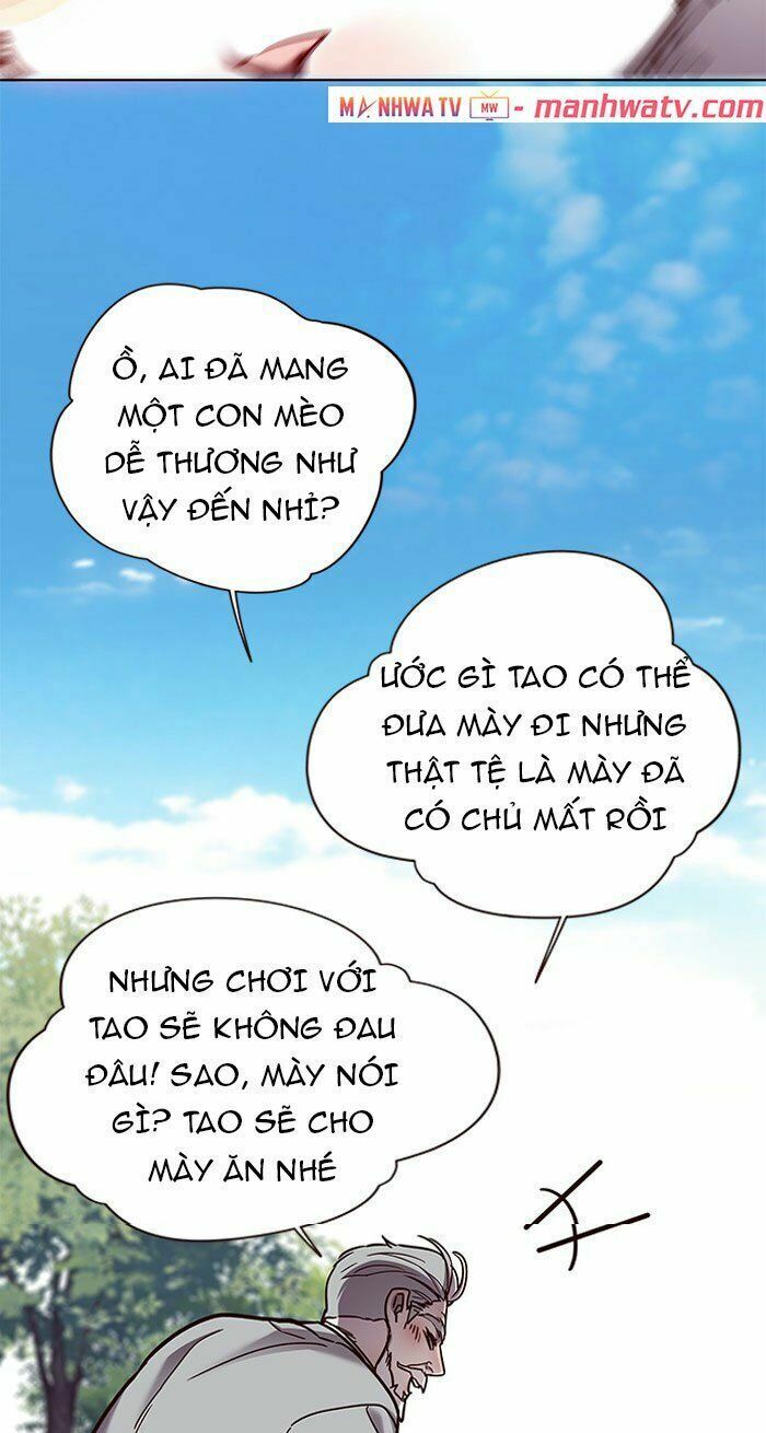 Hoá Thân Thành Mèo: Chapter 71