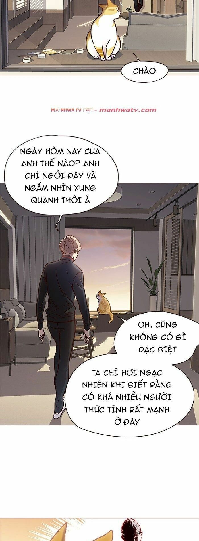 Hoá Thân Thành Mèo: Chapter 72