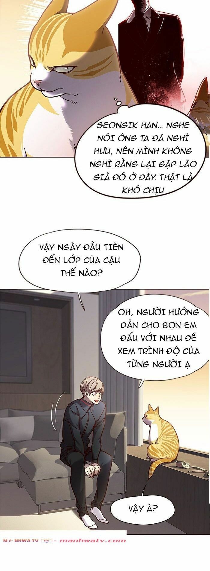 Hoá Thân Thành Mèo: Chapter 72
