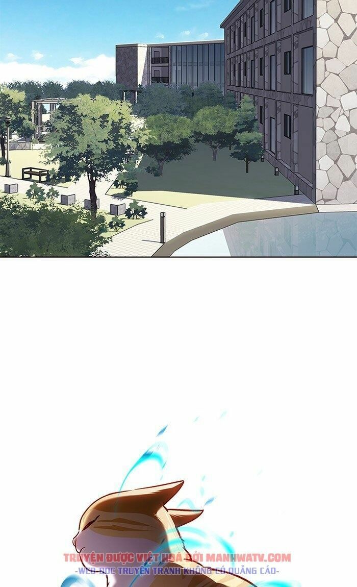 Hoá Thân Thành Mèo: Chapter 73