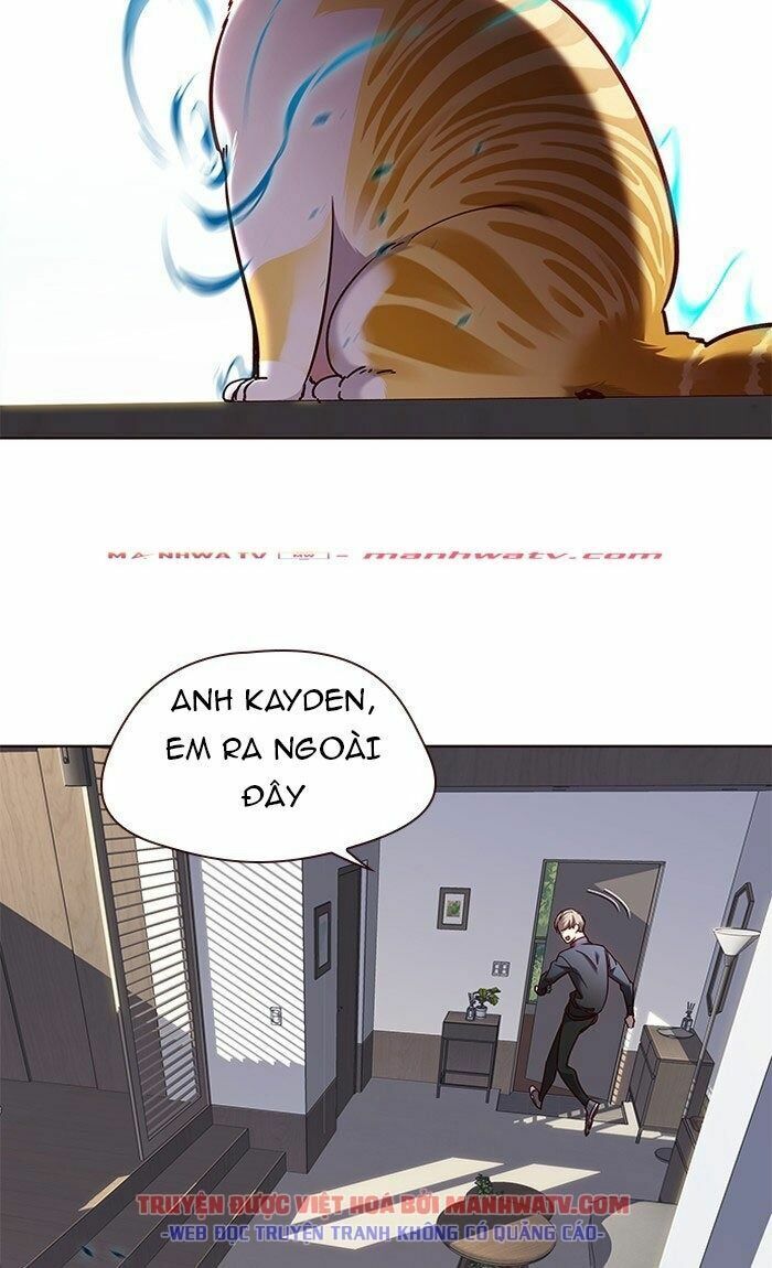 Hoá Thân Thành Mèo: Chapter 73
