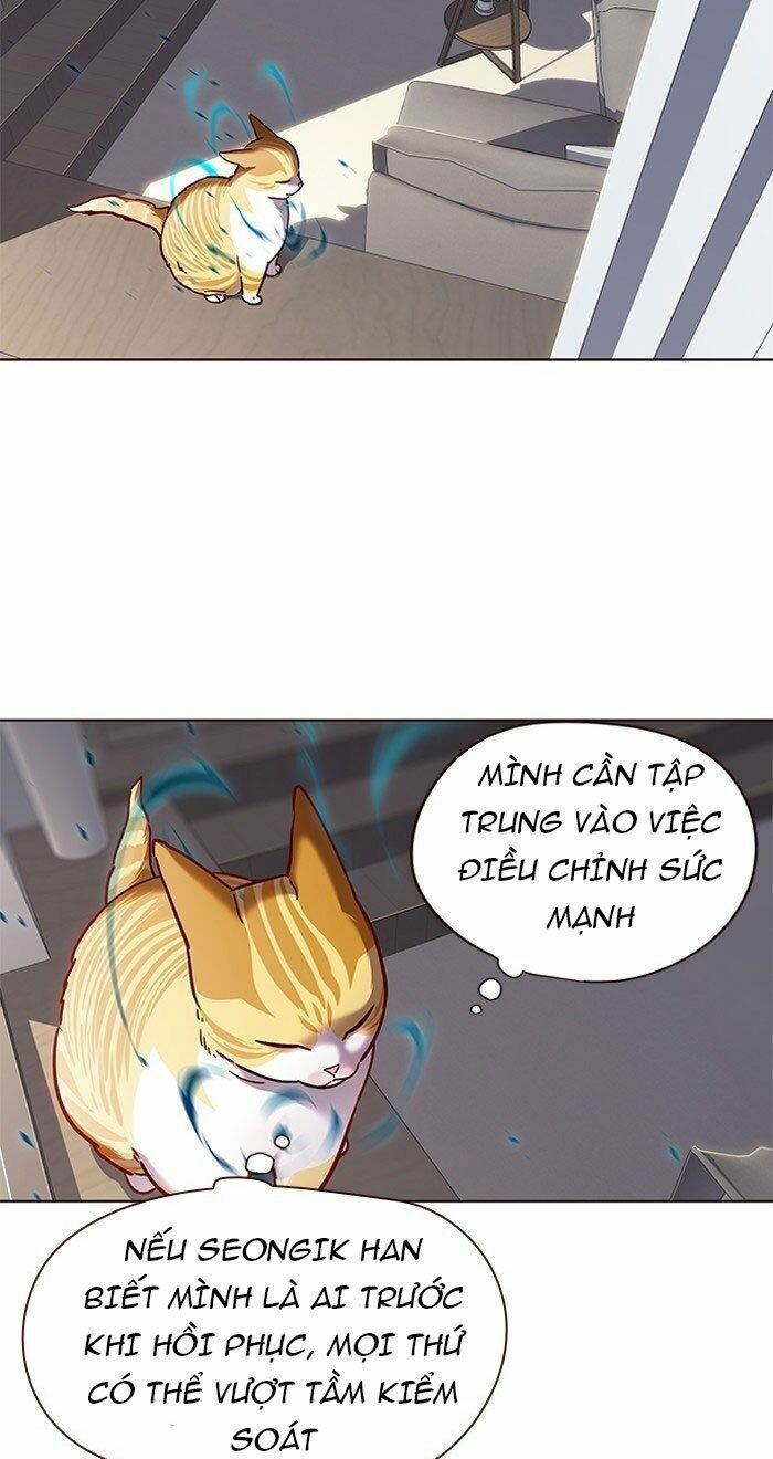 Hoá Thân Thành Mèo: Chapter 73