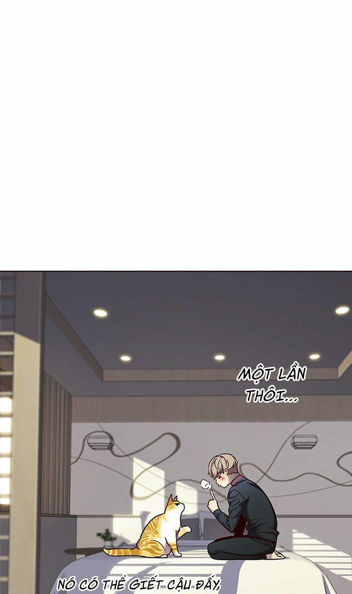 Hoá Thân Thành Mèo: Chapter 74