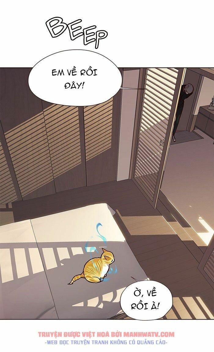 Hoá Thân Thành Mèo: Chapter 76