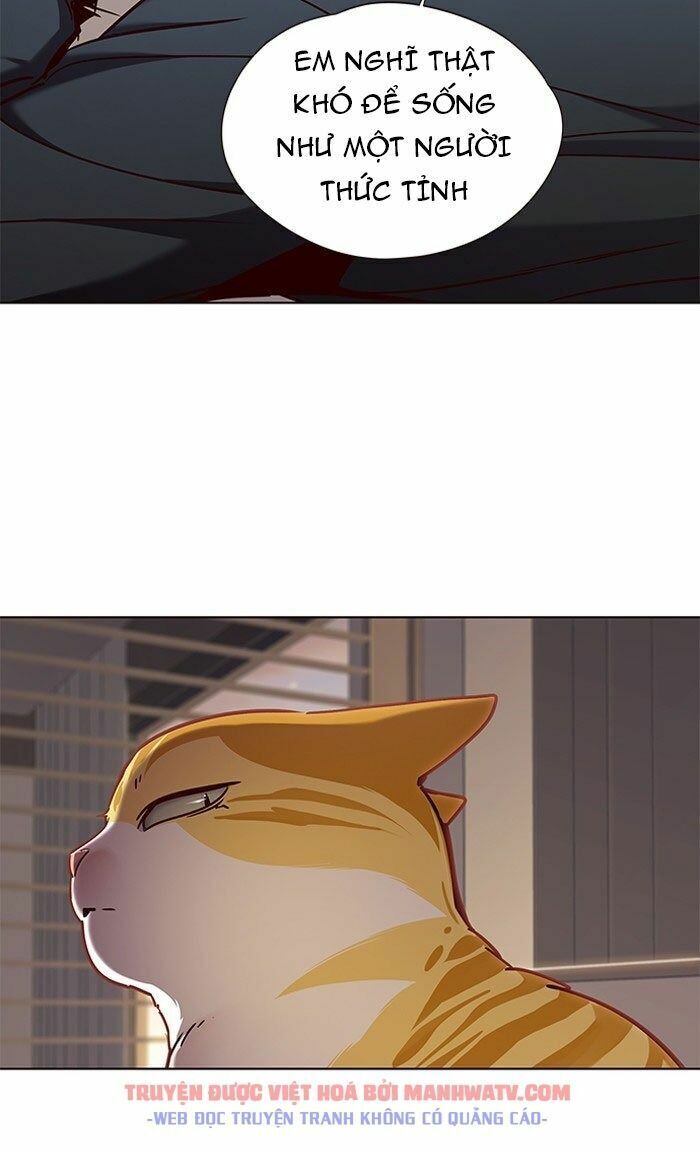 Hoá Thân Thành Mèo: Chapter 76