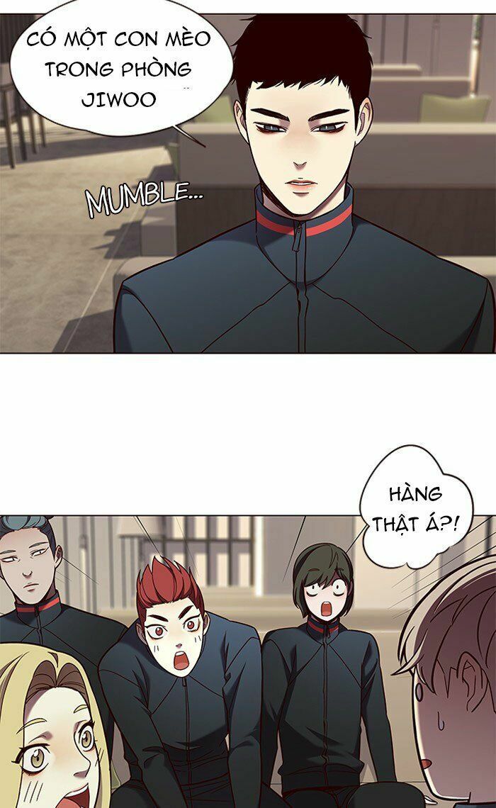 Hoá Thân Thành Mèo: Chapter 78