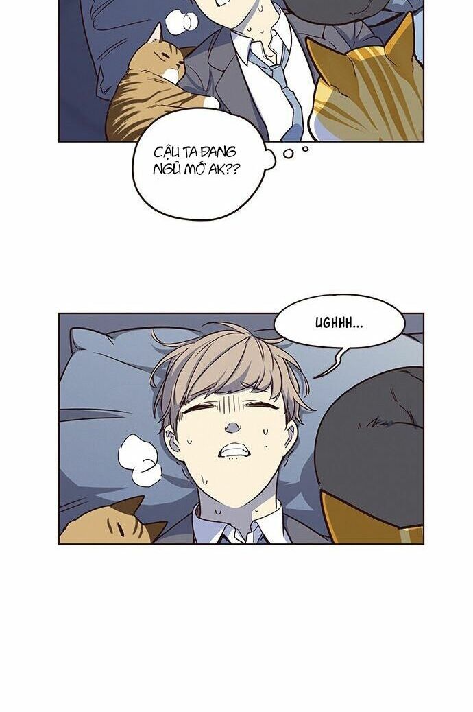 Hoá Thân Thành Mèo: Chapter 8